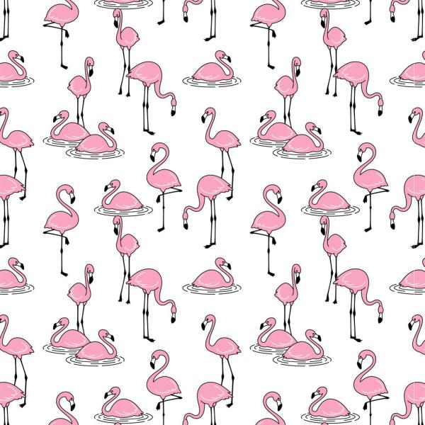Birds Flamingo - 10